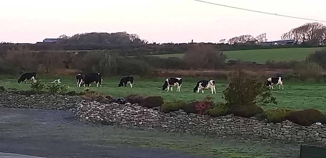 Murphys Irish Farmhouse Tralee Dış mekan fotoğraf